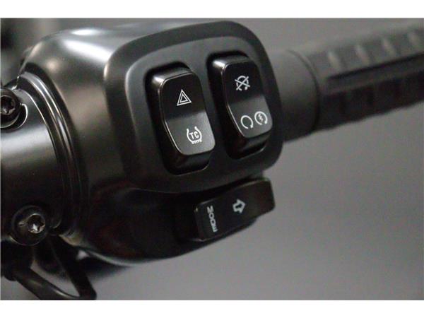 2025 HARLEY-DAVIDSON SOFTAIL FXLRS LOW RIDER S