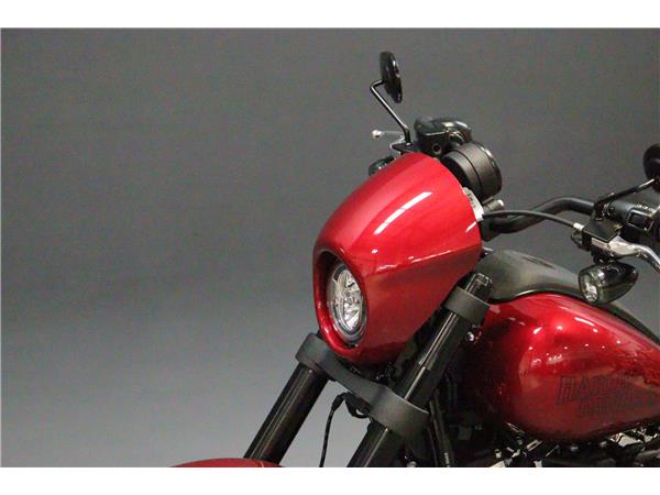 2025 HARLEY-DAVIDSON SOFTAIL FXLRS LOW RIDER S