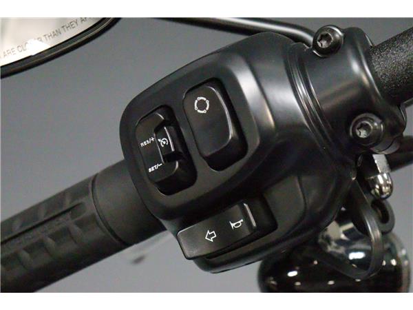 2025 HARLEY-DAVIDSON SOFTAIL FXBB STREET BOB