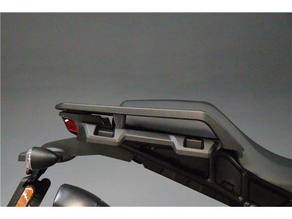 2025 HARLEY-DAVIDSON PAN AMERICA 1250ST