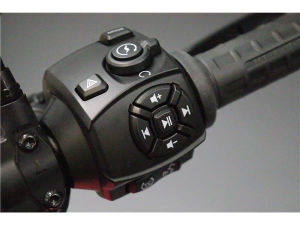 2025 HARLEY-DAVIDSON PAN AMERICA 1250ST