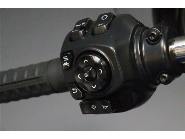 2025 HARLEY-DAVIDSON TOURING FLHX STREET GLIDE