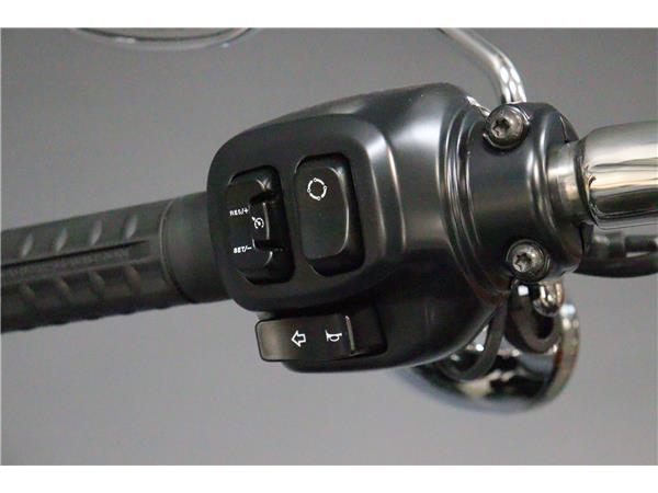 2026 HARLEY-DAVIDSON SOFTAIL FLFB FAT BOY