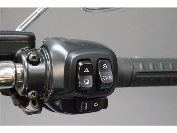 2026 HARLEY-DAVIDSON SOFTAIL FLFB FAT BOY