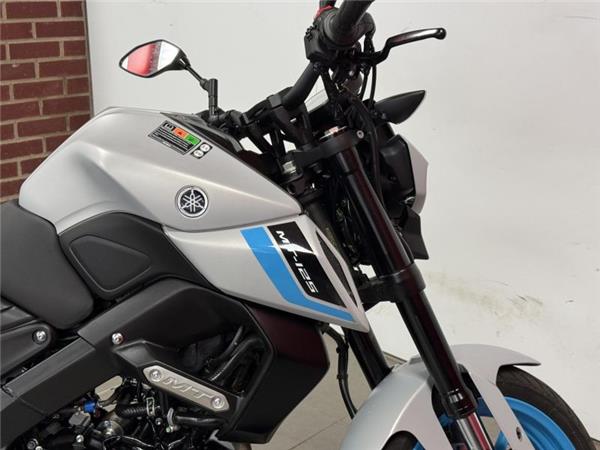 2025 Yamaha MT-125 Grey