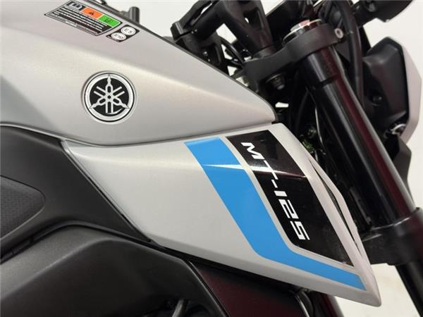 2025 Yamaha MT-125 Grey