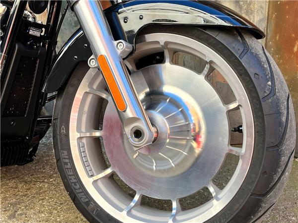 2025 Harley-Davidson Softail