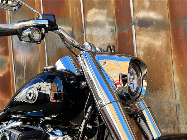 2025 Harley-Davidson Softail