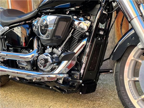 2025 Harley-Davidson Softail