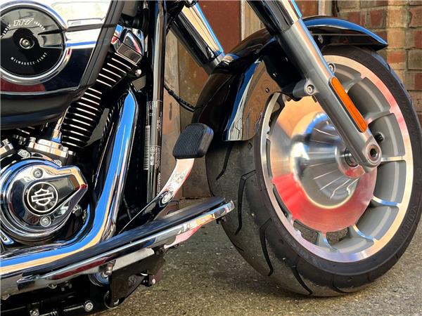 2025 Harley-Davidson Softail