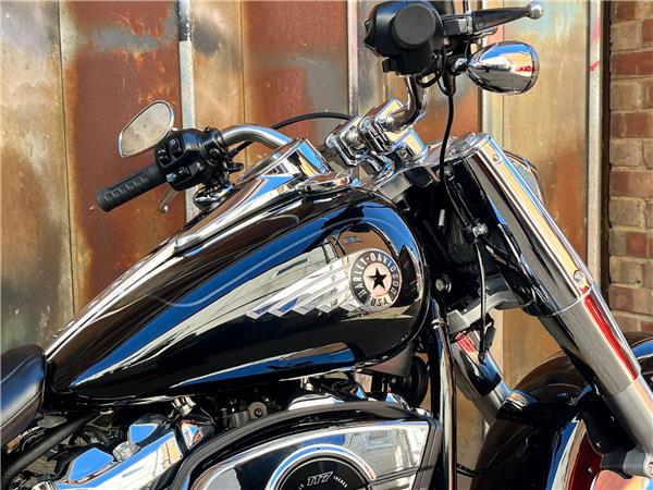 2025 Harley-Davidson Softail