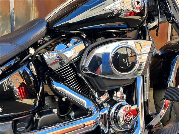 2025 Harley-Davidson Softail