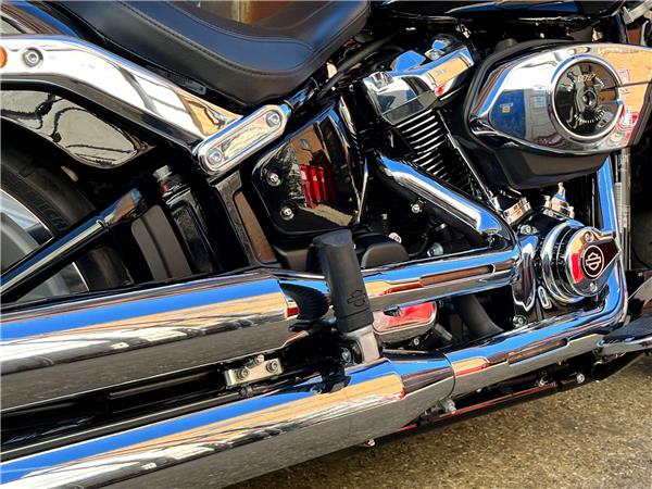 2025 Harley-Davidson Softail