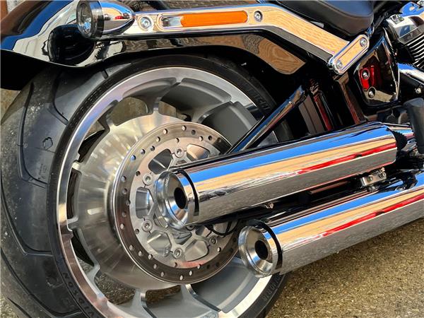 2025 Harley-Davidson Softail