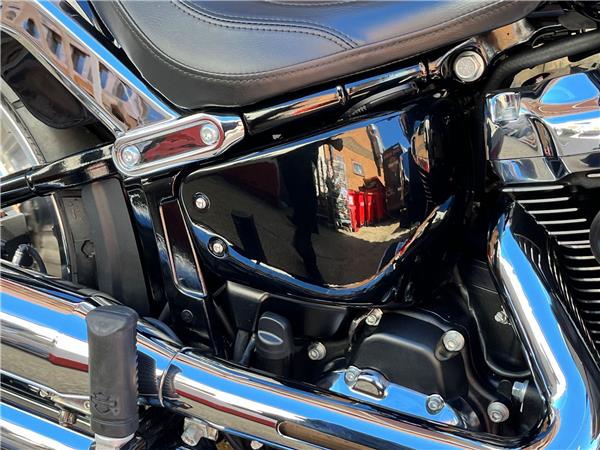 2025 Harley-Davidson Softail