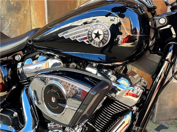 2025 Harley-Davidson Softail