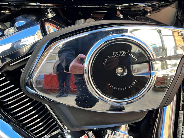 2025 Harley-Davidson Softail