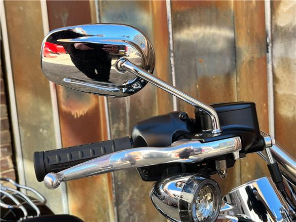 2025 Harley-Davidson Softail