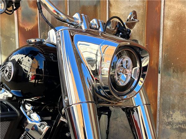 2025 Harley-Davidson Softail