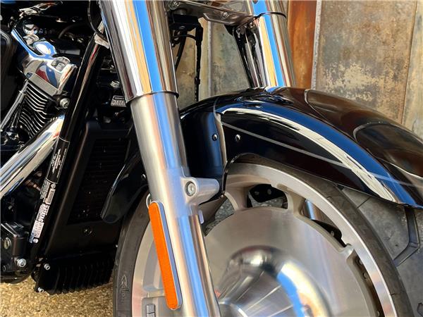 2025 Harley-Davidson Softail