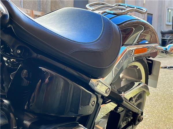 2025 Harley-Davidson Softail