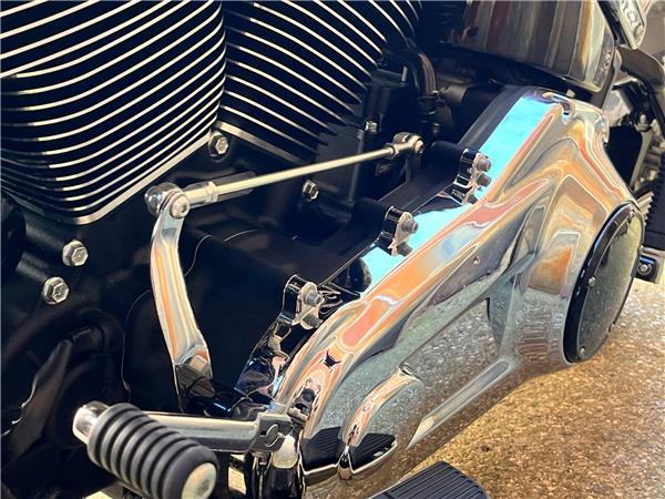 2025 Harley-Davidson Softail