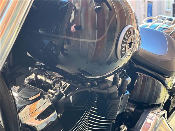 2025 Harley-Davidson Softail