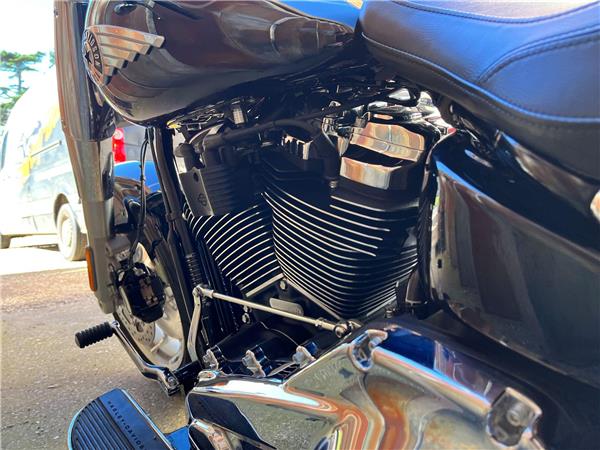 2025 Harley-Davidson Softail