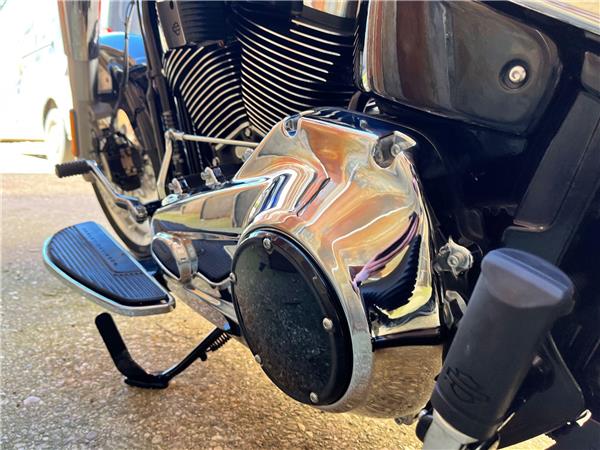 2025 Harley-Davidson Softail