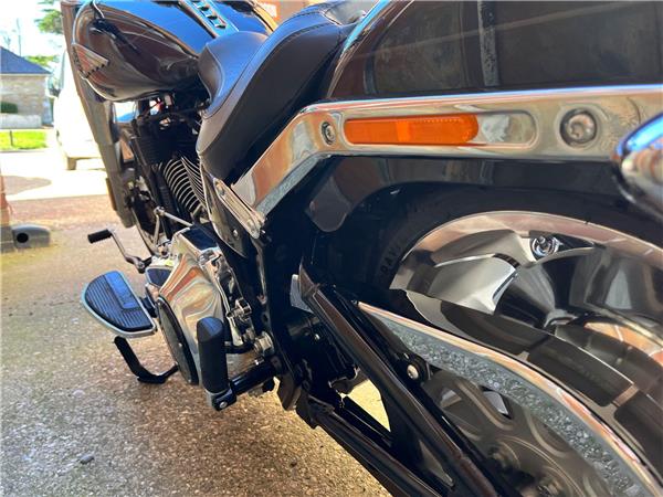 2025 Harley-Davidson Softail