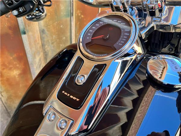 2025 Harley-Davidson Softail