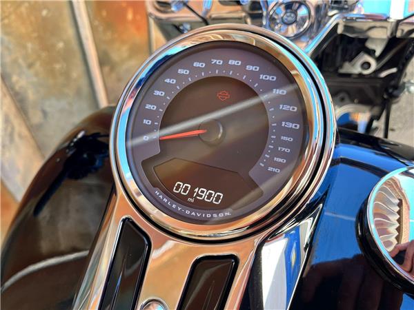 2025 Harley-Davidson Softail