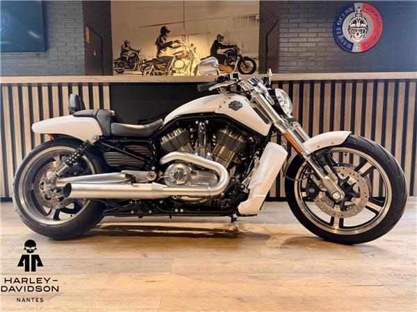 2013 HARLEY-DAVIDSON MUSCLE
