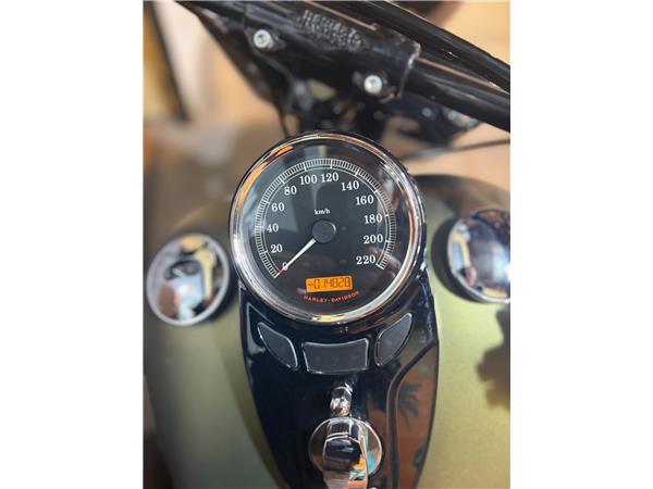 2016 HARLEY-DAVIDSON SLIM