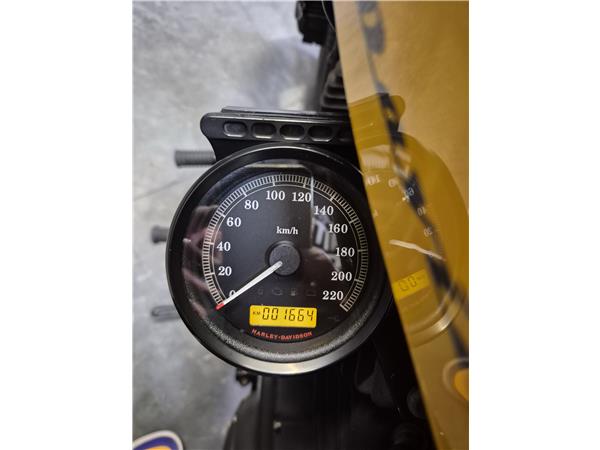 2011 HARLEY-DAVIDSON FORTY EIGHT