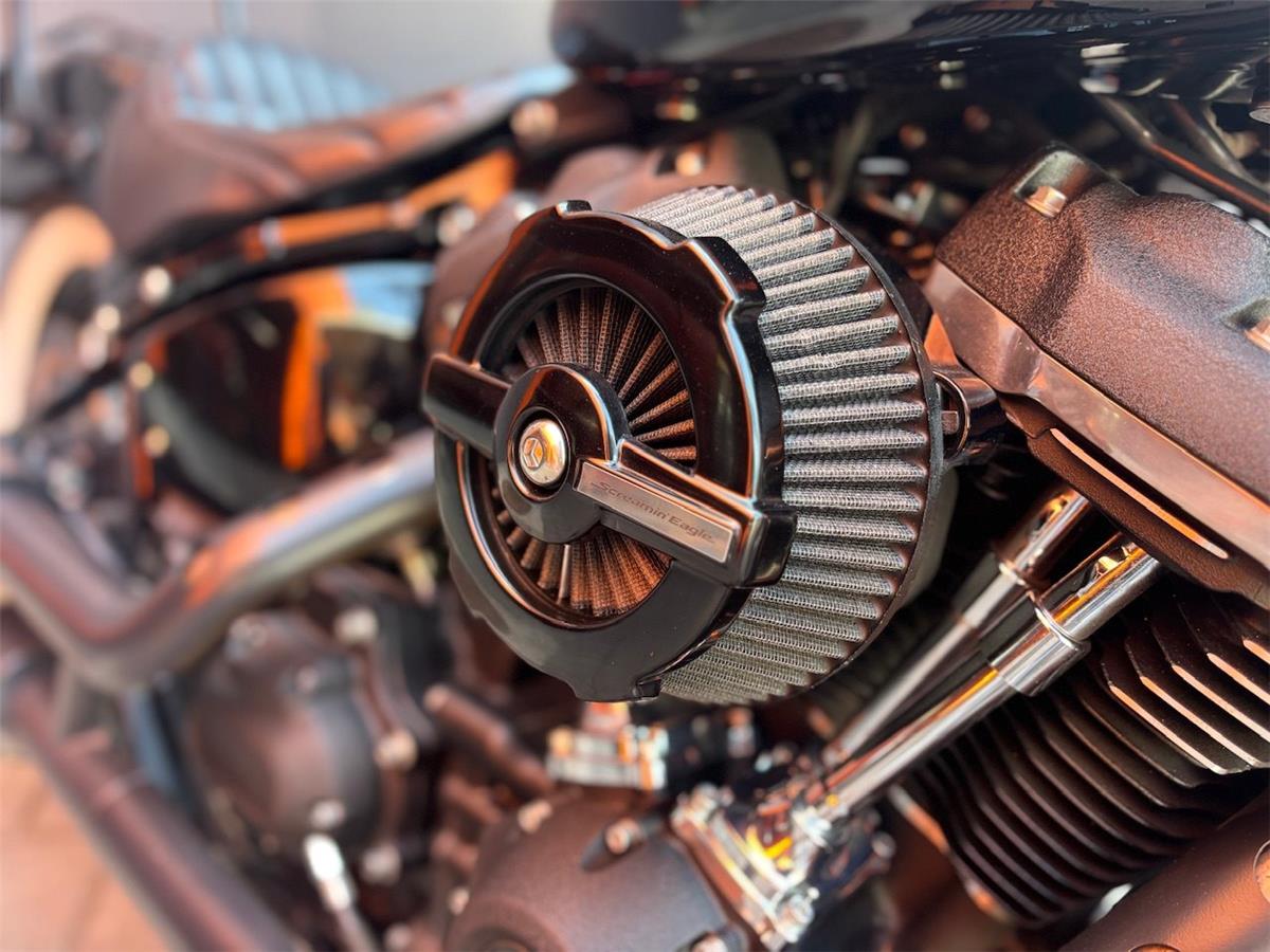 2020 Harley-Davidson Softail Street Bob FXBB
