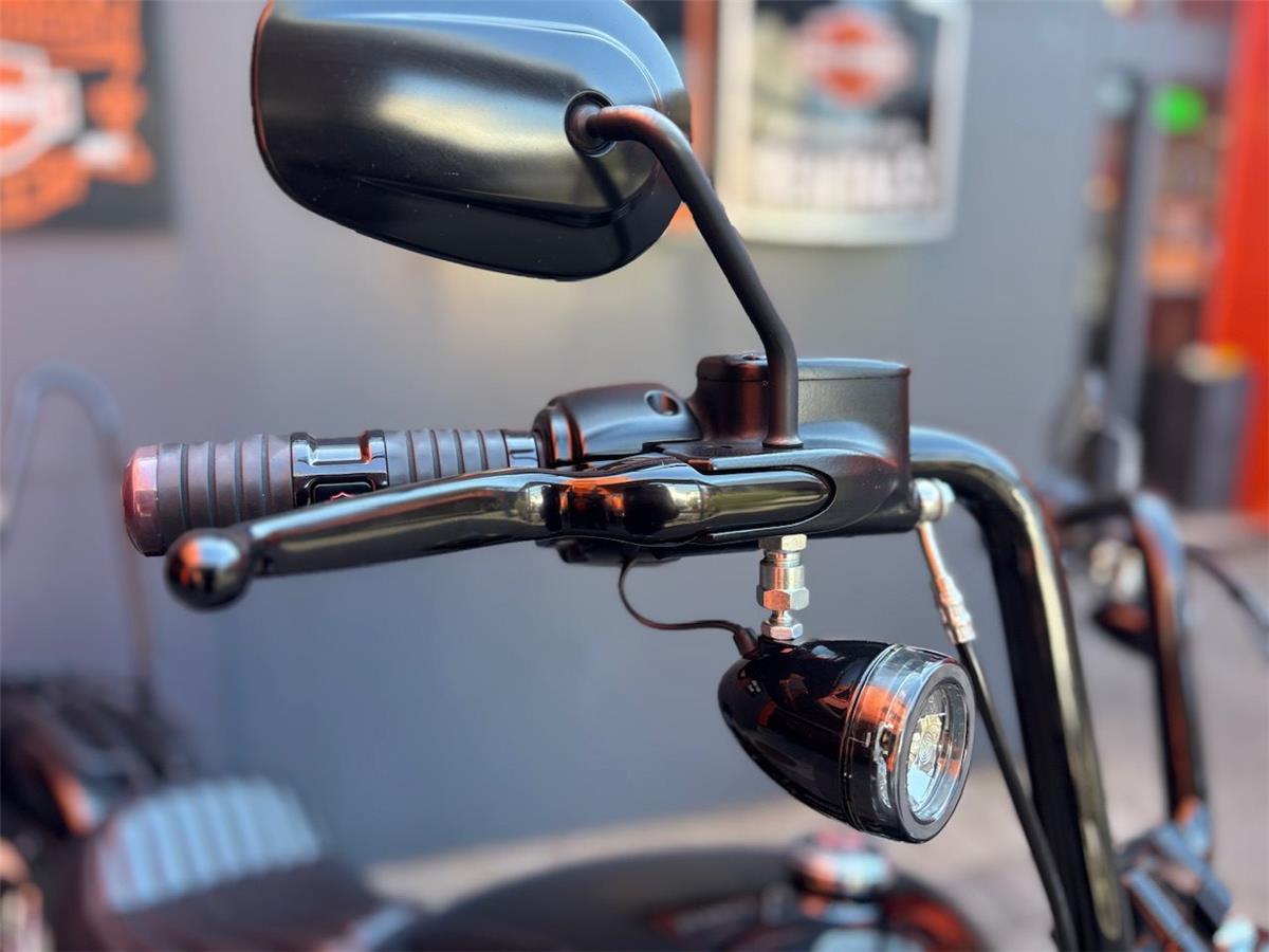 2020 Harley-Davidson Softail Street Bob FXBB