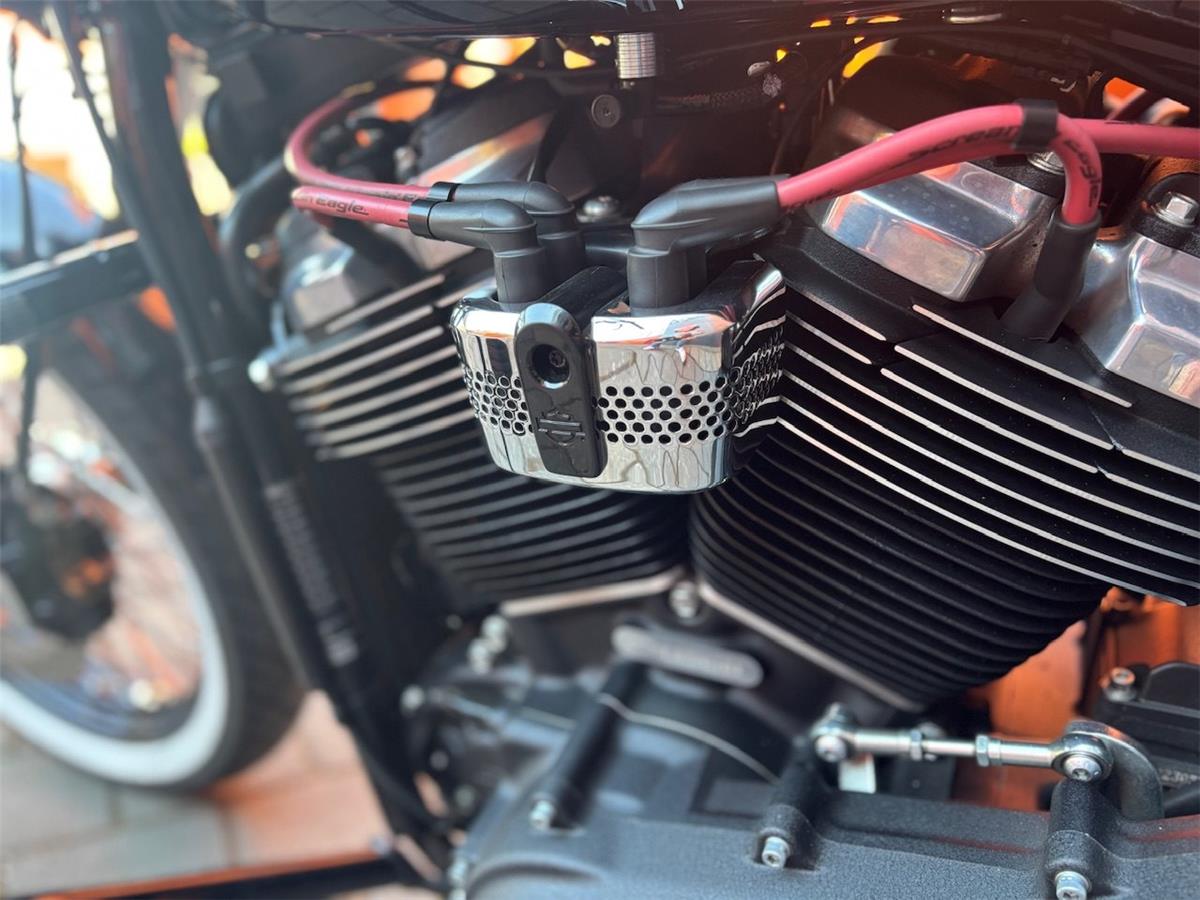 2020 Harley-Davidson Softail Street Bob FXBB