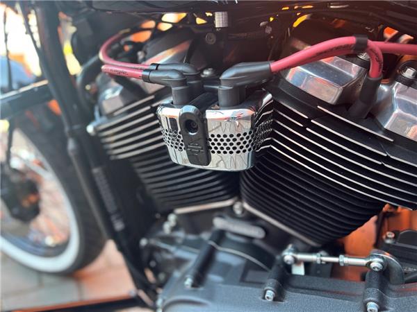 2020 Harley-Davidson Softail Street Bob FXBB