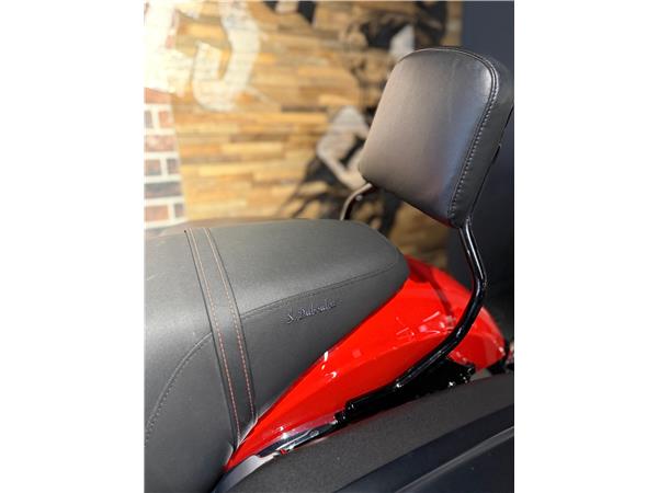 2020 harley-davidson FLSB Sport Glide 107 ABS (35KW possible)