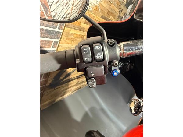 2020 harley-davidson FLSB Sport Glide 107 ABS (35KW possible)