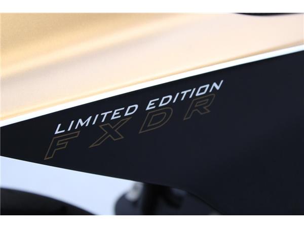 2019 Harley-Davidson FXDR 114