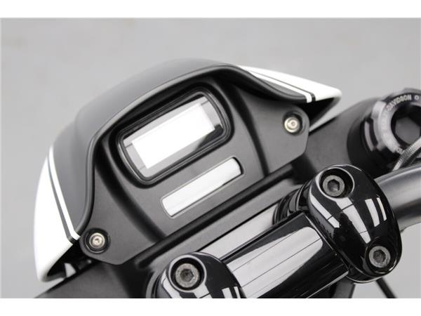 2019 Harley-Davidson FXDR 114