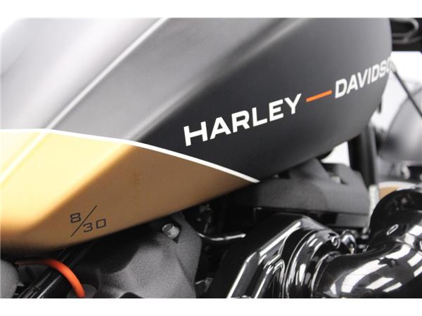 2019 Harley-Davidson FXDR 114