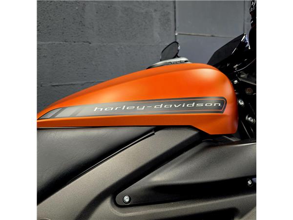 2021 HARLEY-DAVIDSON LIVEWIRE