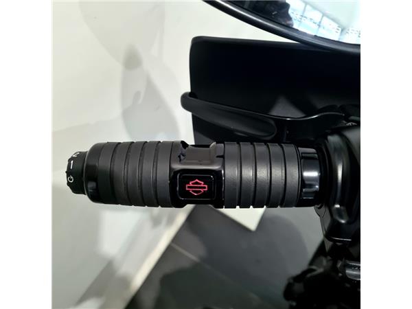 HARLEY-DAVIDSON FAT BOB