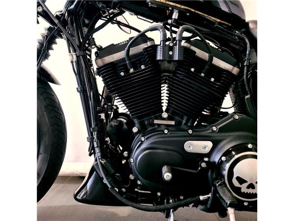 HARLEY-DAVIDSON XL 883 N