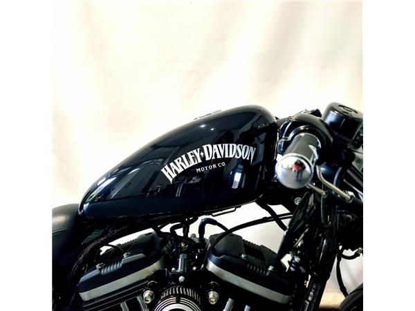 HARLEY-DAVIDSON XL 883 N