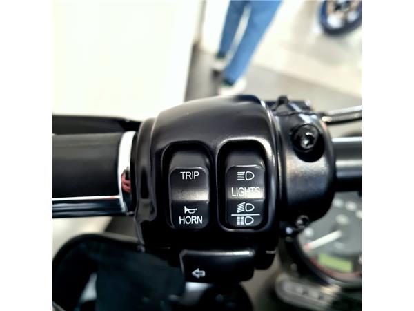 HARLEY-DAVIDSON XL 883 N