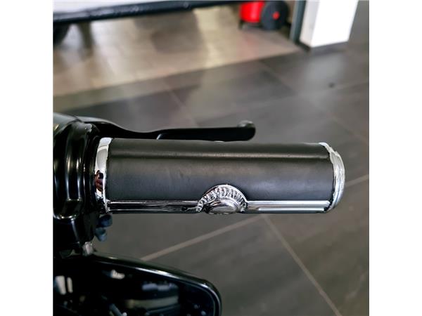 HARLEY-DAVIDSON XL 883 N